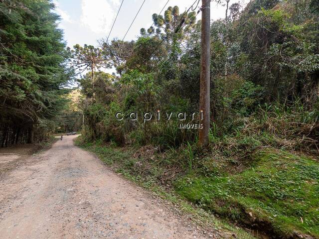 Venda em Vila Natal - Campos do Jordão