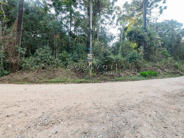 #1513 - Terreno para Venda em Campos do Jordão - SP - 2